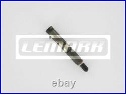 Diesel Fuel Injector LDI073 Lemark Nozzle Valve 6110701287 A6110701287 Quality